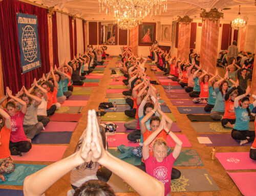 Yoga Teacher Training 550h
