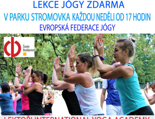 Lekce jógy zdarma v Českých Budějovicích – Cvičte jógu s námi