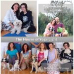 European House of Yoga Light